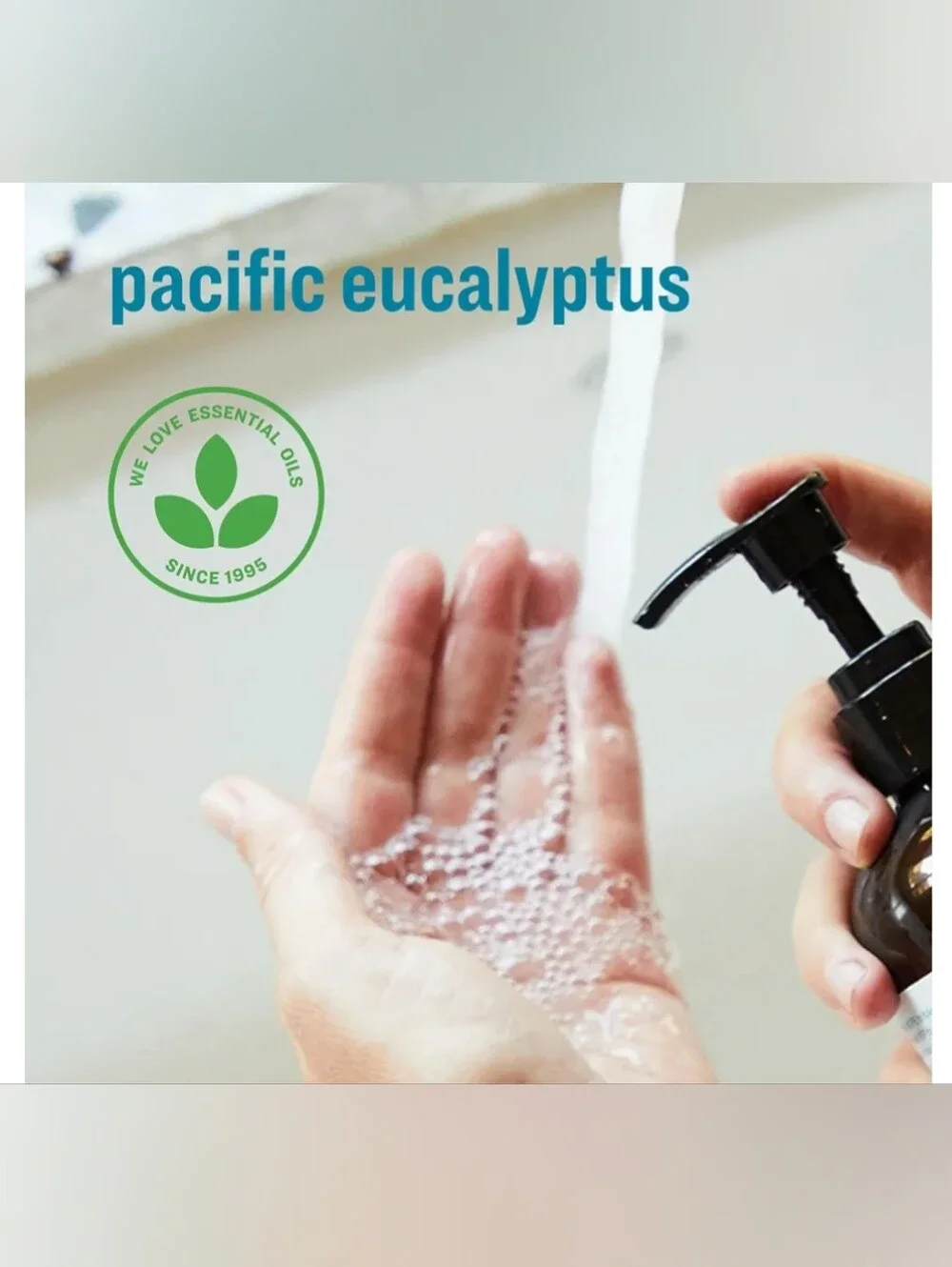 Everyone Pacific Eucalyptus Hand Soap 12.75oz New